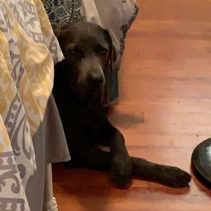 Meet your Posher, Sandra